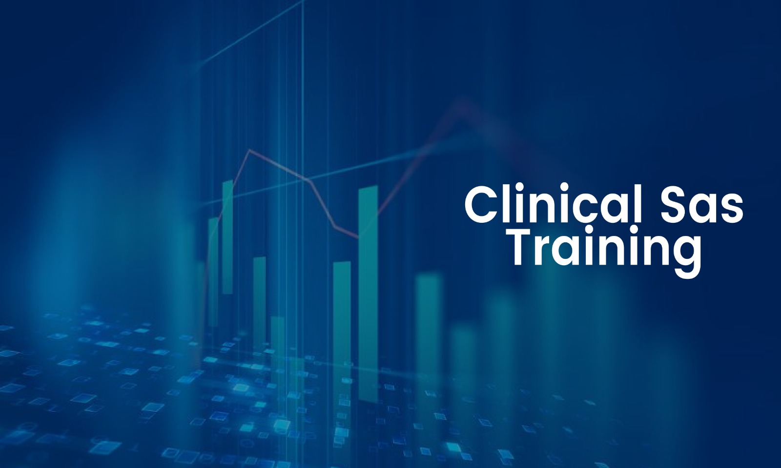 Clinical Sas Training Course In Hyderabad